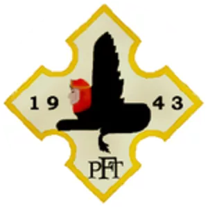 Polish Fighting Team