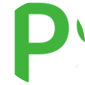 Polish People's Party