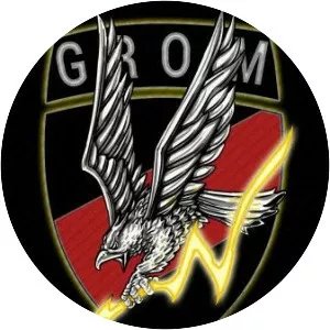 Polish Special Forces