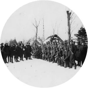 Polish–Ukrainian War