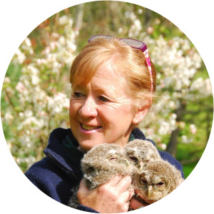 Polly Pullar - Author