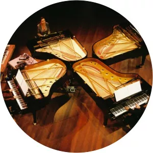 polo de haas piano ensemble - Musical ensemble