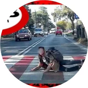 Polskie drogi - TV program