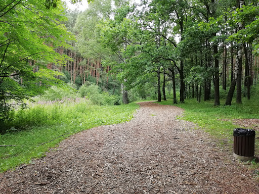 Polyanka Dlya Otdykha - National forest in Russia