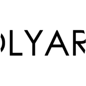 Polyarc - Video game developer