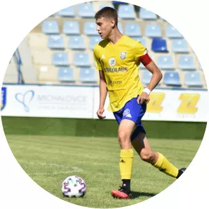 Polydefkis Volanakis