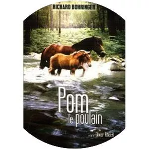 Pom, le poulain