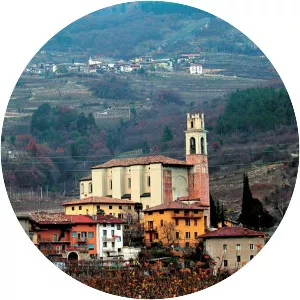 Pomarolo