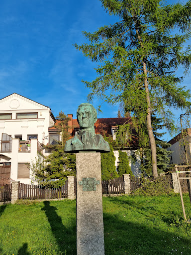 Pomnik Edwarda Dembowskiego - Historical landmark in Krakow, Poland