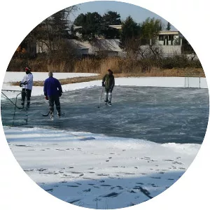 Pond hockey
