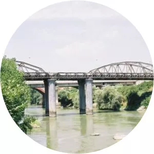 Ponte dell'Industria o di Ferro