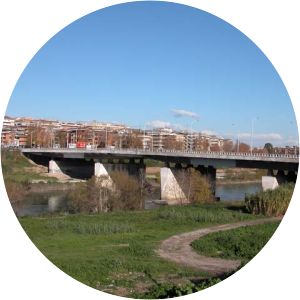 Ponte Guglielmo Marconi