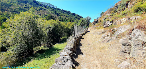 Ponte Medieval de Ermelo