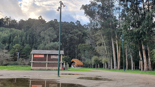 Ponte peatonal do Naseiro