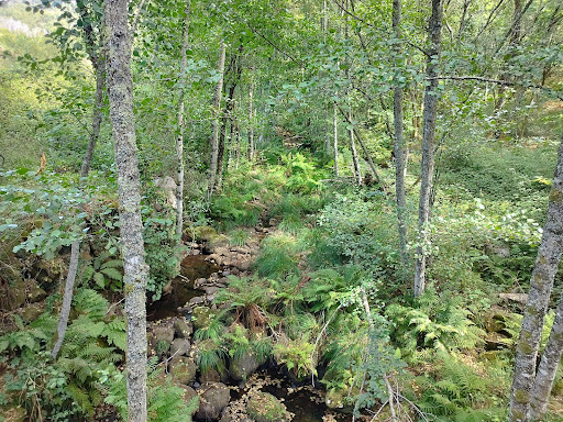 Ponte velha de Confulcos