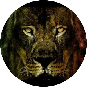 Ponto de Equilíbrio