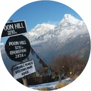 Poon Hill - 