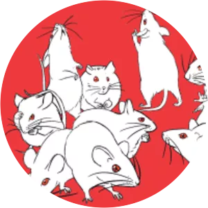 Popfest - Music Festival