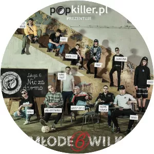 Popkiller Młode Wilki