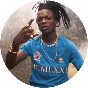 Poplane - Musical artist