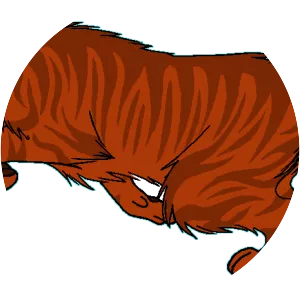 Poppydawn photograph