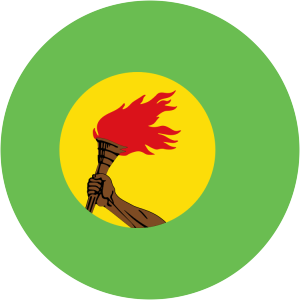 Popular Movement of the Revolution