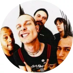 pelebroi nao sei porcos cegos