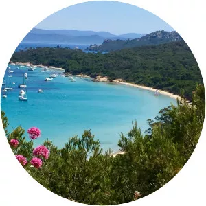 Porquerolles - Island in Hyères, France