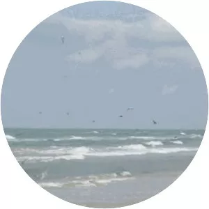 Port Aransas Beach - 