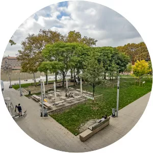 Port de la Daurade - 