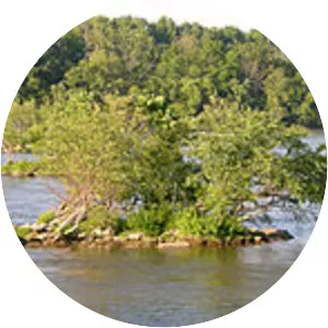 Port Deposit Bridge - 