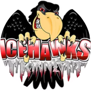 Port Huron Icehawks