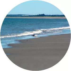 Port Maitland Beach - 