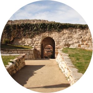 Portillo de la Lealtad