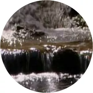 Portland Japanese Garden