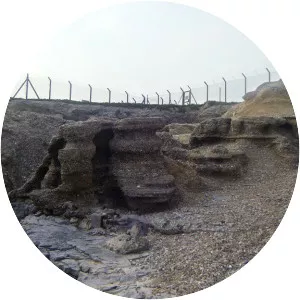 Portland Raised Beach - 