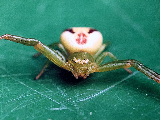 Portner Hof - Ethnographic museum in Kramsach, Austria
