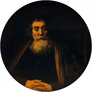 Portrait of an Old Man - Artwork