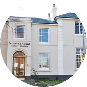 Portsmouth Natural History Museum - 