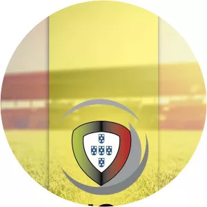 Portuguese Superliga SoccerSince 2012