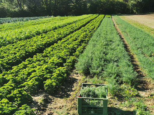 Poschelerhof - Farm in Thaur, Austria