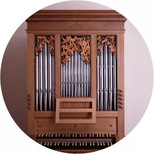 Positive organ