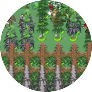 Pot Farm - Videogame