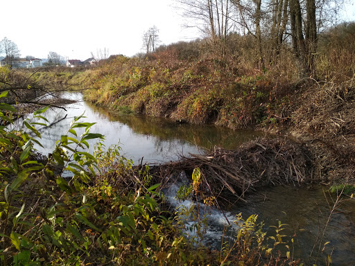 Potok Lubinka - Wildlife park in Janowice, Tarnow County, Poland