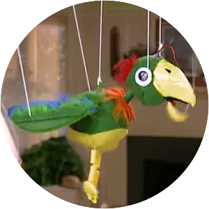 Potty the Parrot