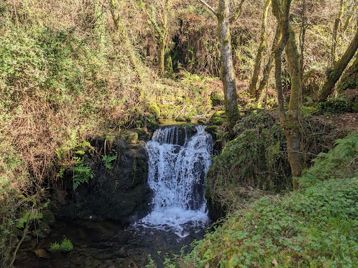 PR1/OFR Rota dos Rios e Levadas - Hiking area in Portugal