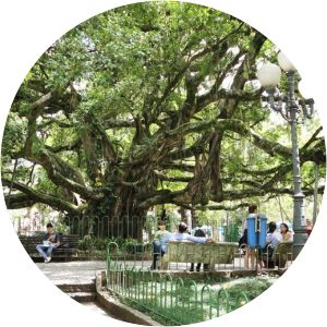 Praça XV de Novembro - 