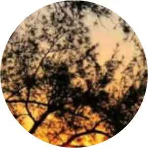 Praia da Moreninha - 