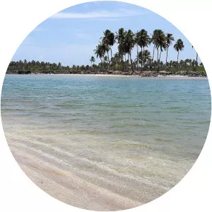 Praia de Maracaípe - 