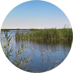 Prat de Cabanes-Torreblanca Natural Park